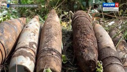 В Ленобласти найдены почти полторы тысячи снарядов времен войны