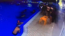 Первоклассник впал в кому во время тренировки в бассейне во Всеволожске