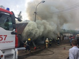 Пожарные потушили гаражи в Сертолово