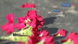 В Ленинградской области откроется мемориал "Защитникам Отечества"