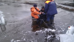 Старший из погибших в Ленобласти детей пытался спасти брата и сестру