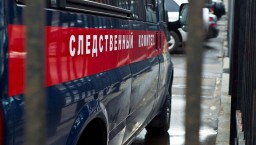 В Ленобласти полицейских подозревают в нанесении побоев мужчине