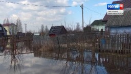 В Ленобласти несколько населенных пунктов отрезаны от большой земли из-за паводка