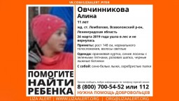 В лесу в Ленобласти после лыжной тренировки пропала 11-летняя девочка